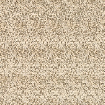 Siamese Dune Dot (Grade 14)